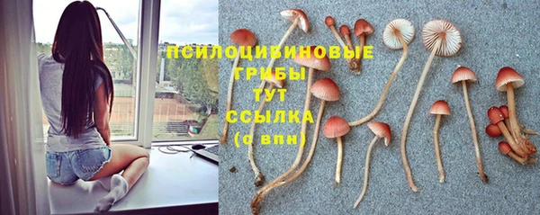 MESCALINE Михайловка