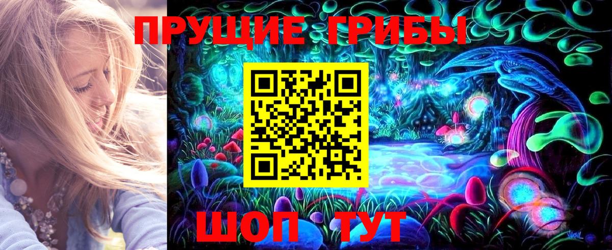 Находка  Псилоцибиновые грибы мицелий  Галлюциногенные грибы GOLDEN TEACHER  Вход с VPN 
